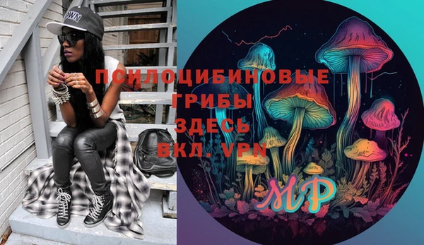 тгк Армянск