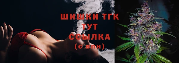 спайс Арсеньев